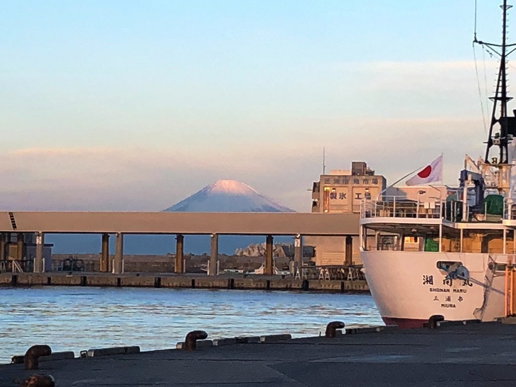 三崎港