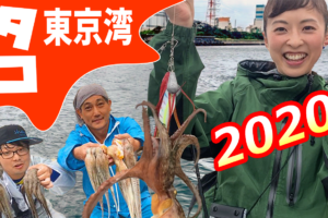 東京湾　タコ釣り　2020年