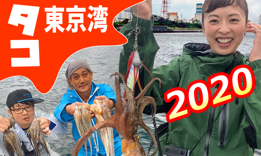 東京湾　タコ釣り　2020年