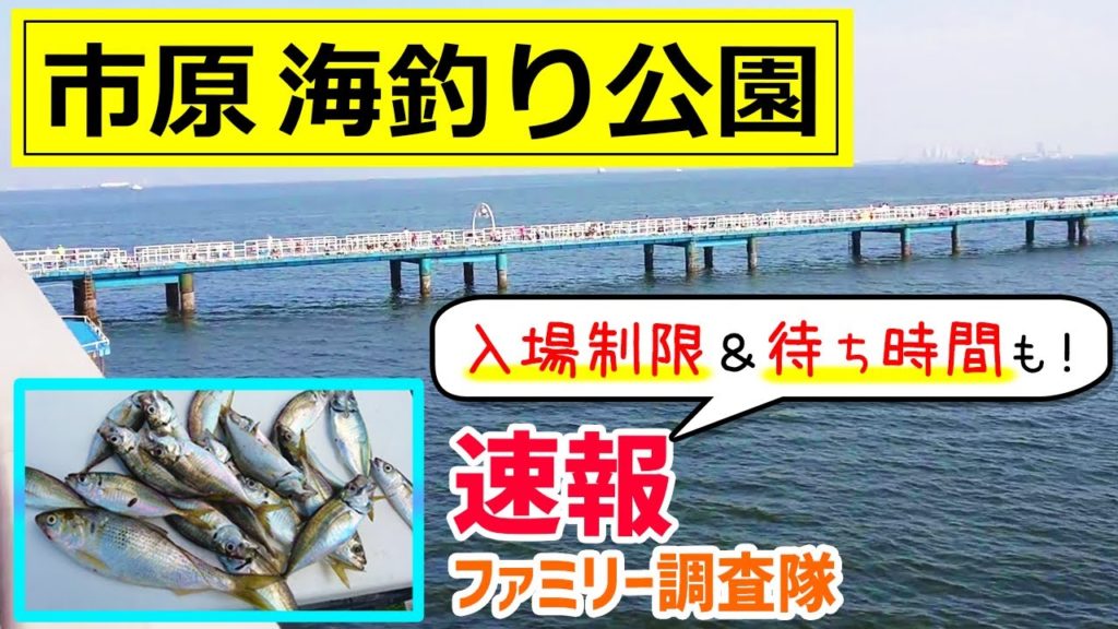 市原 海釣り公園 アジ釣り 釣果 新型コロナ入場制限 待ち時間 年8月 おさかな探究隊 さかきゅう