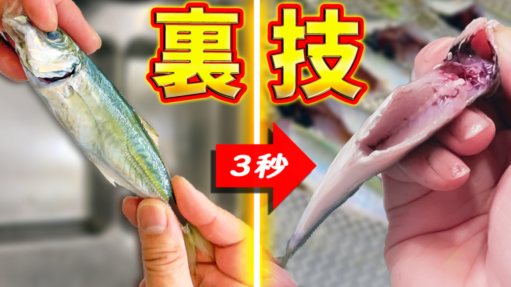 3秒で出来るアジのさばき方 高速下処理の裏技 おさかな探究隊 さかきゅう